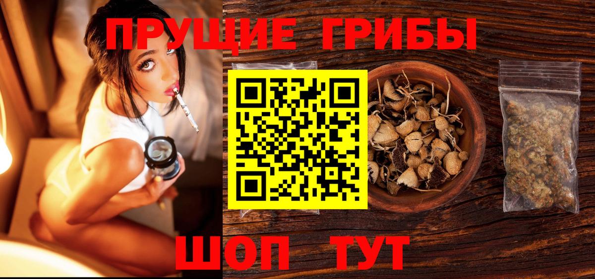 Псилоцибиновые грибы прущие грибы Ивантеевка