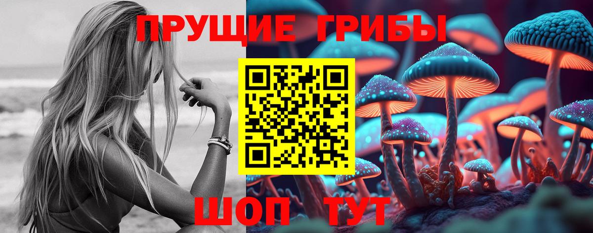 Псилоцибиновые грибы Psilocybe  Псилоцибиновые грибы мицелий  Вход с VPN  Ивантеевка 